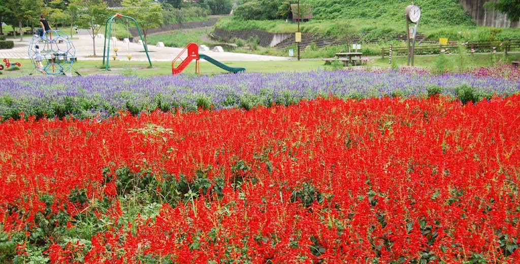 �Ζؓ��̉w�Ԓd