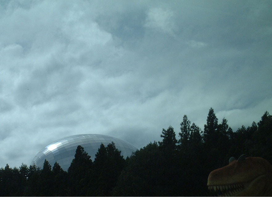 �����̗�