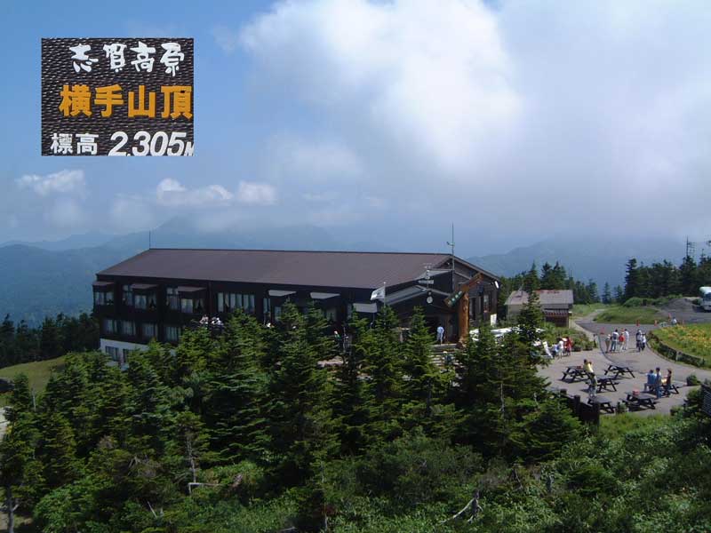 ���{�ꍂ���p����